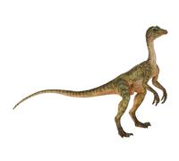 Figurine de collection Papo peinte à la main, dinosaure Compsognathus, à partir