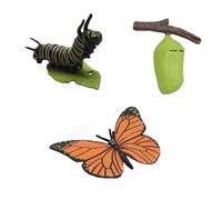 Figurine de Cycle de Vie de Simulation D'un Cycle de Croissance de Papillon Monarque Insecte Animaux Biologie éDucative Science Jouet