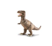 Dinosaure Tyrannosaure - Bébé Figurines Collecta G