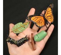 Figurine De Simulation De Petit Insecte Pour Enfants,Jouets De Croissance D'animaux,Modèle De Subvention De La Vie,Équation D'araignée,Grenouille,Papillon,Mignon,Bébé,Début - Type Butterfly