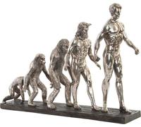 Figurine décorative DKD Home Decor Origine des espèces Argenté Chromé 55 x 18 x 42 cm