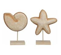 Figurine Décorative - Mica Decorations - Coquillage Étoile De Mer - Marron Clair - 24 X 17 X 17 Cm