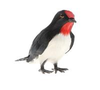 Figurine D'Hirondelle Réaliste, Jouet, Modèle Animal, Fausse Fourrure, Jardin, Bricolage