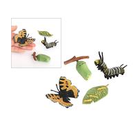 Figurine D'Insecte Papillon, Cycle De Vie, 4 Pièces, Montre La Vie D'Une Dame