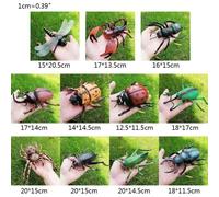 Figurine D'insecte Réaliste, 1 Pièce, Simulation De La Faune, Décoration De Scène Éducative Pour Enfants, Apprentissage