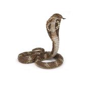 Papo – Figurine – King Cobra royal – 50164 – Multicolore