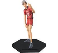 Haikyuu Dxf Vol.9 Figurine Haibane Riefu