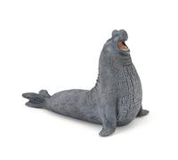 L'univers Marin Eléphant De Mer