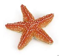 Figurine étoile de mer