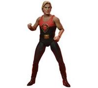 Figurine Flash Gordon 1980 Ultimate Flash Gordon 1980 Final Battle 18 cm G