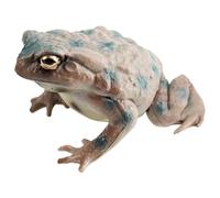 Figurine Frog - 6.2x4.9x3,2 Cm Petit Crapaud Décoratif, Statue D'animaux Miniatures, Jouet De Bureau À Collection, Ornement De Salle De Jeux Avec Des Détails De Vie | Petit Modèle De Crapaud Décoratif