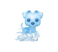 Figurine Funko POP! Harry Potter : Gardien de Harry Potter, Ron Weasley zdq