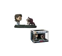 Figurine Funko Pop Steve et Demodog