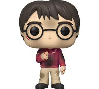Figurine Funko POP Vinyle Harry Potter 20e Anniversaire | Harry Avec La Pierre