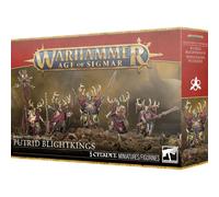 Figurine Games Workshop Warhammer AoS - Maggotkin of Nurgle : Putrid Blightkings Rouge TU