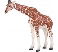 Animal Planet Figurine de jeu - Figurine de girafe femelle, Animal Planet 13,5 cm x 3,5 cm x 12 cm - peinte à la main et avec beaucoup de détails - de qualité et sûre