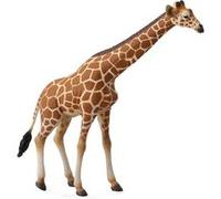 Figurine Girafe Figurines Collecta Bruin G