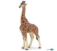 Figurine girafe male