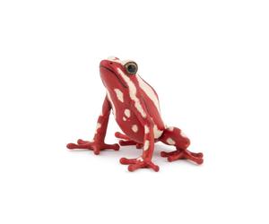Figurine Grenouille Papo Tri-Color - Éducation et Amusement