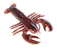 Plastoy - 2816-29 - Figurine - Animal - Homard