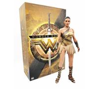 Figurine Hot Toys Mms424 - Dc Comics - Wonder Woman - Wonder Woman Training Armor