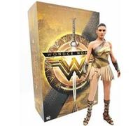 Figurine Hot Toys MMS424 - DC Comics - Wonder Woman - Wonder Woman Training Armor Multicolore G