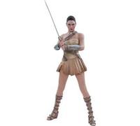 Figurine Hot Toys - Wonder Woman - Wonder Woman Training Armor Version 12 G