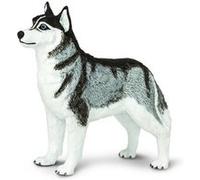 Figurine Husky de Sibérie Safari Ltd G