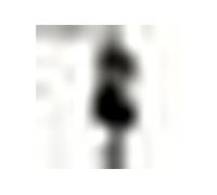 Figurine Ichibansho - Jojo's Bizarre Adventure - Jotaro Kujo (Stardust Crusaders