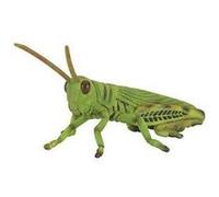 Collecta – Figurine insecte Sauterelle Col88352 – Vert et noir – Taille M