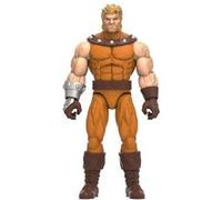 Marvel Classic Hasbro Marvel Legends Series Sabretooth
