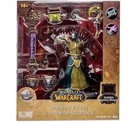 Bizak McFarlane World of Warcraft Collection Sculpture Undead Priest et Warlock Figurine du Jeu vidéo 15 cm avec Accessoires et Arme Jouet secrète, pour collectionneurs, +14 Ans, (64386674)