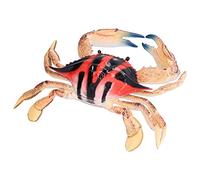 Figurine Modèle Animal Marin Crabe, Jouet Décoratif Hautement simulé pour Enfants, Accessoires éducatifs pour Enfants de Plus de 3 Ans, Matière Plastique, 9,1 X 1,2 Pouces (PL127-1303 Crabe