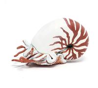 Figurine Papo Nautile G