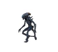 Figurine - NECA - Alien Arachnoid - Articulée - 18 cm - Noir