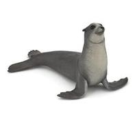 L'UNIVERS MARIN Otarie