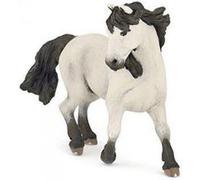 Chevaux, Poulains Et Poneys Camargue