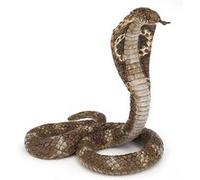 Figurine Papo Cobra Royal G