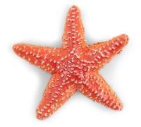 Figurine Papo Etoile de mer Marron G