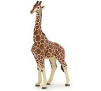 Papo – Grande figurine animale – Girafe mâle – Jouet dès 3 ans – Sensibilisation à la faune africaine