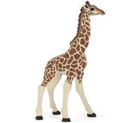 Papo - Figurine Girafon Réaliste - 3 Ans + - Collection La Vie Sauvage - Jeu Éducatif Jeunes Animaux Africains - Idée Cadeau Jouet Fille Garçon