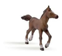 Figurine Papo Poulain anglo-arabe Multicolore G