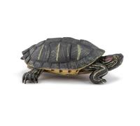 Papo - Figurine Tortue De Floride Réaliste - 3 Ans + - Collection La Vie Sauvage - Jeu Éducatif Reptiles - Idée Cadeau Jouet Fille Garçon