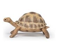 Figurine Papo Tortue d'Hermann G