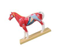 Figurine pédagogique pour étude d ' anatomie vétérinaire avec structure découpée colorée et base d ' affichage rectangulaire, modèle d ' anatomie vétérinaire, étude des points d ' animale, base en