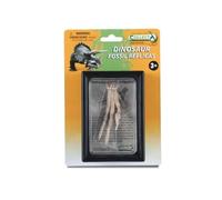 Figurine - Pied Replica de Velociraptor - Réplique fossile - Faits intéressants - Pour enfants à partir de 3 ans