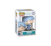 Funko Pop! Animation: Frieren - Himmel - 1 Chance sur 6 D'avoir Une Variante Rare Chase - Frieren Beyond Journeys End - Idée de Cadeau - Anime Fans