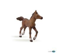 Figurine Papo Poulain anglo-arabe Multicolore G