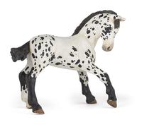 Figurine Poulain appaloosa - PAPO - CHEVAUX, POULAINS ET PONEYS - Noir - Intérieur