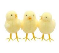 Chaks - Figurine Poussin Jaune 4X4X7CM